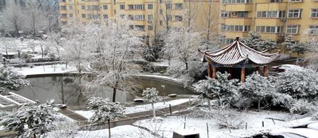 厂区雪景1